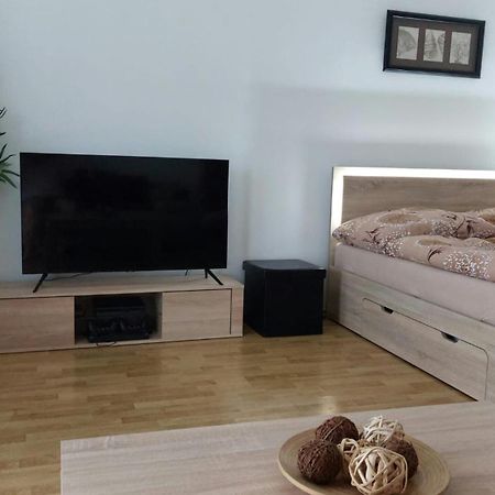 Apartman Na Rozhledne 赫鲁迪姆 外观 照片