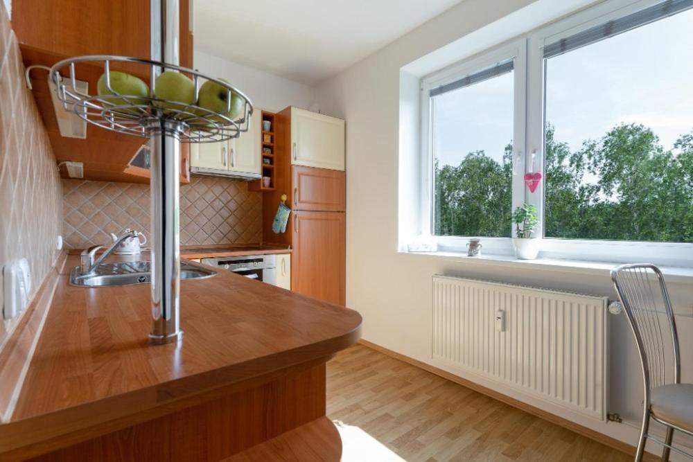Apartman Na Rozhledne 赫鲁迪姆 外观 照片