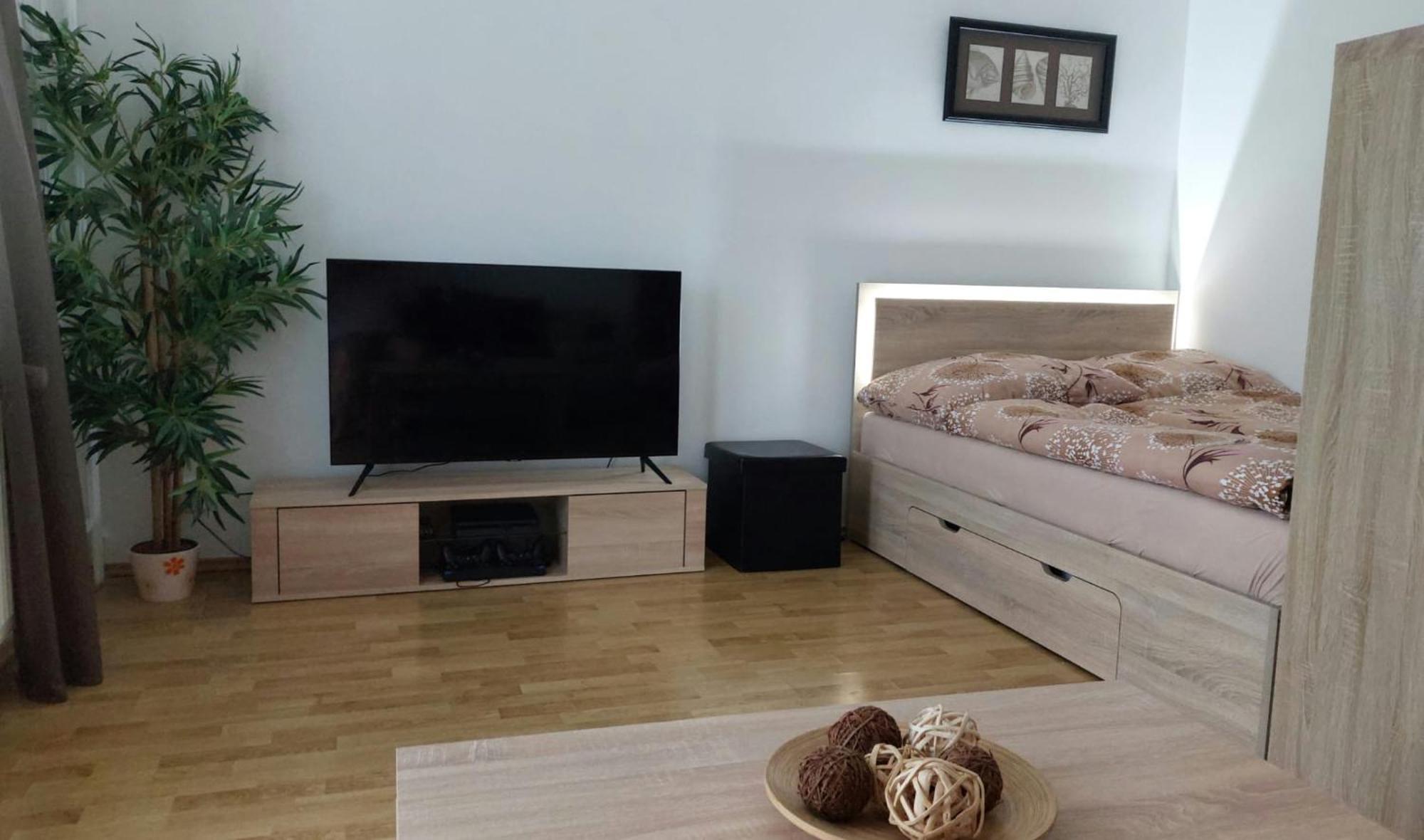 Apartman Na Rozhledne 赫鲁迪姆 外观 照片
